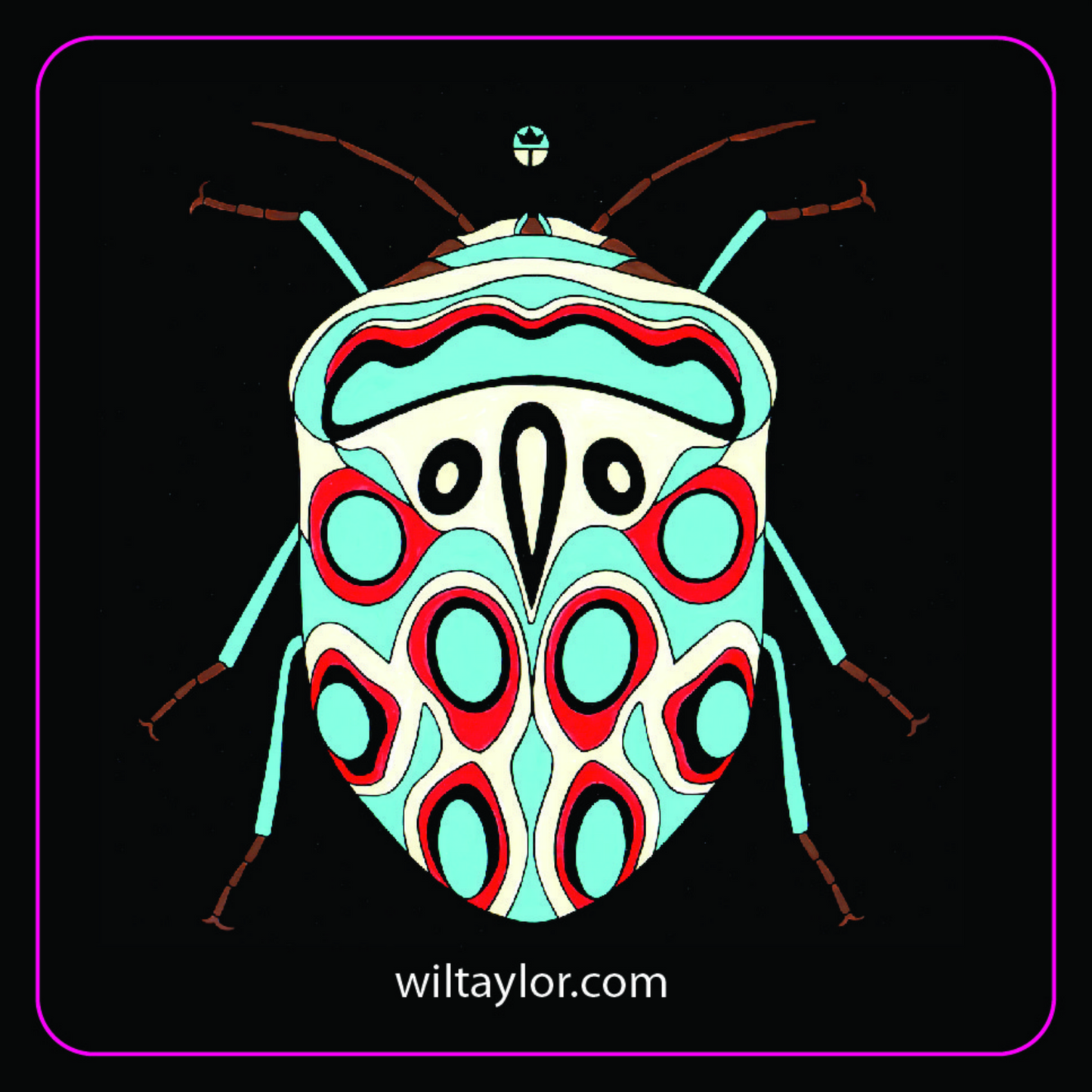 Picasso Bug