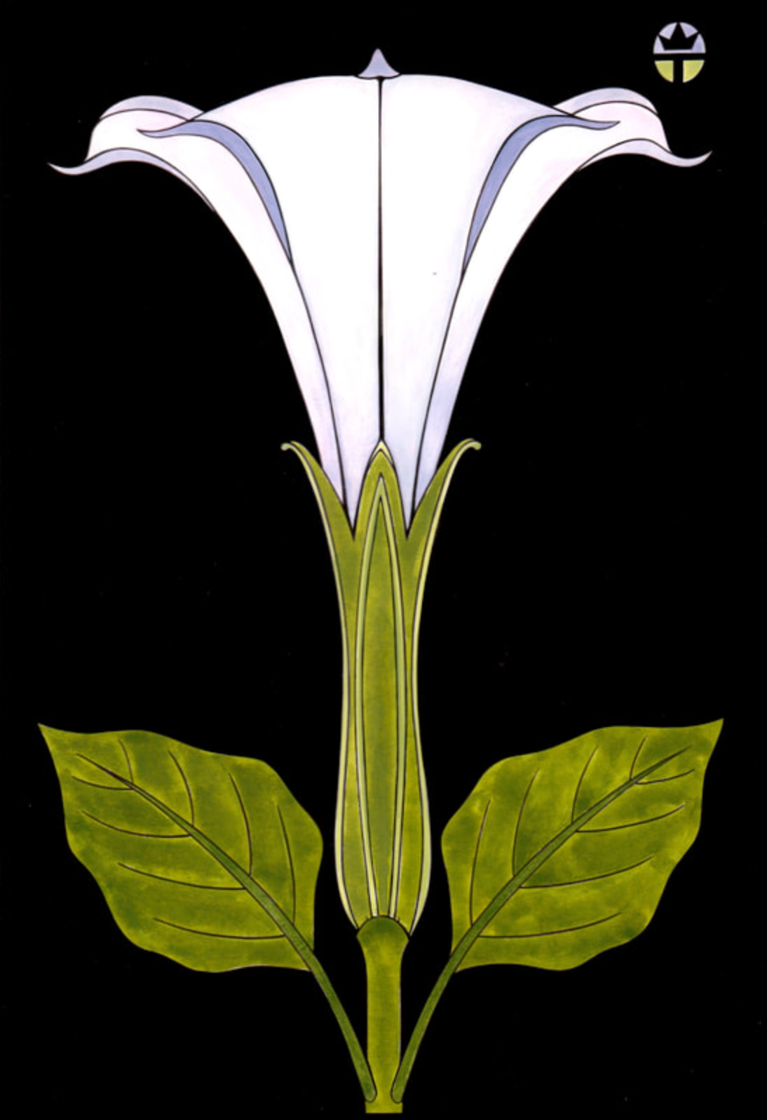Sacred Datura