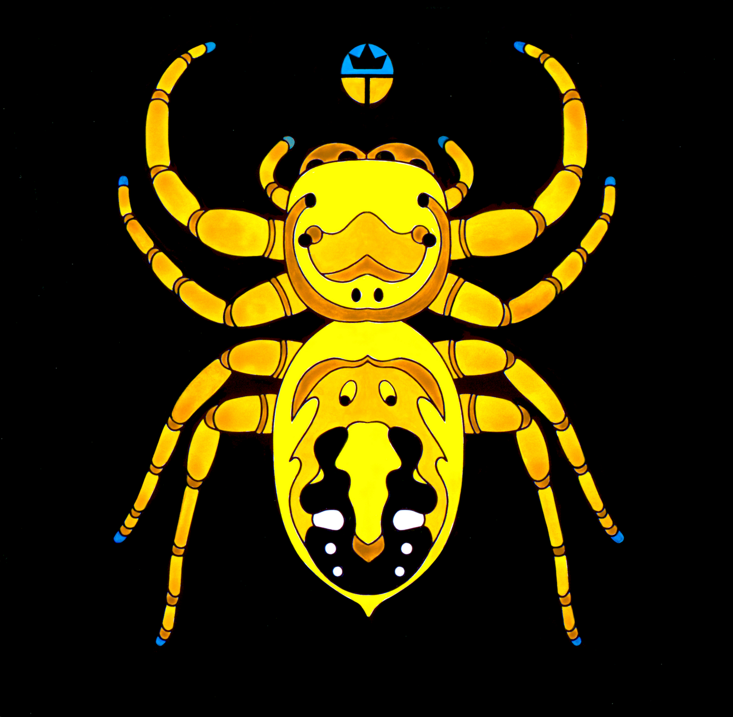 Apache Jumping Spider