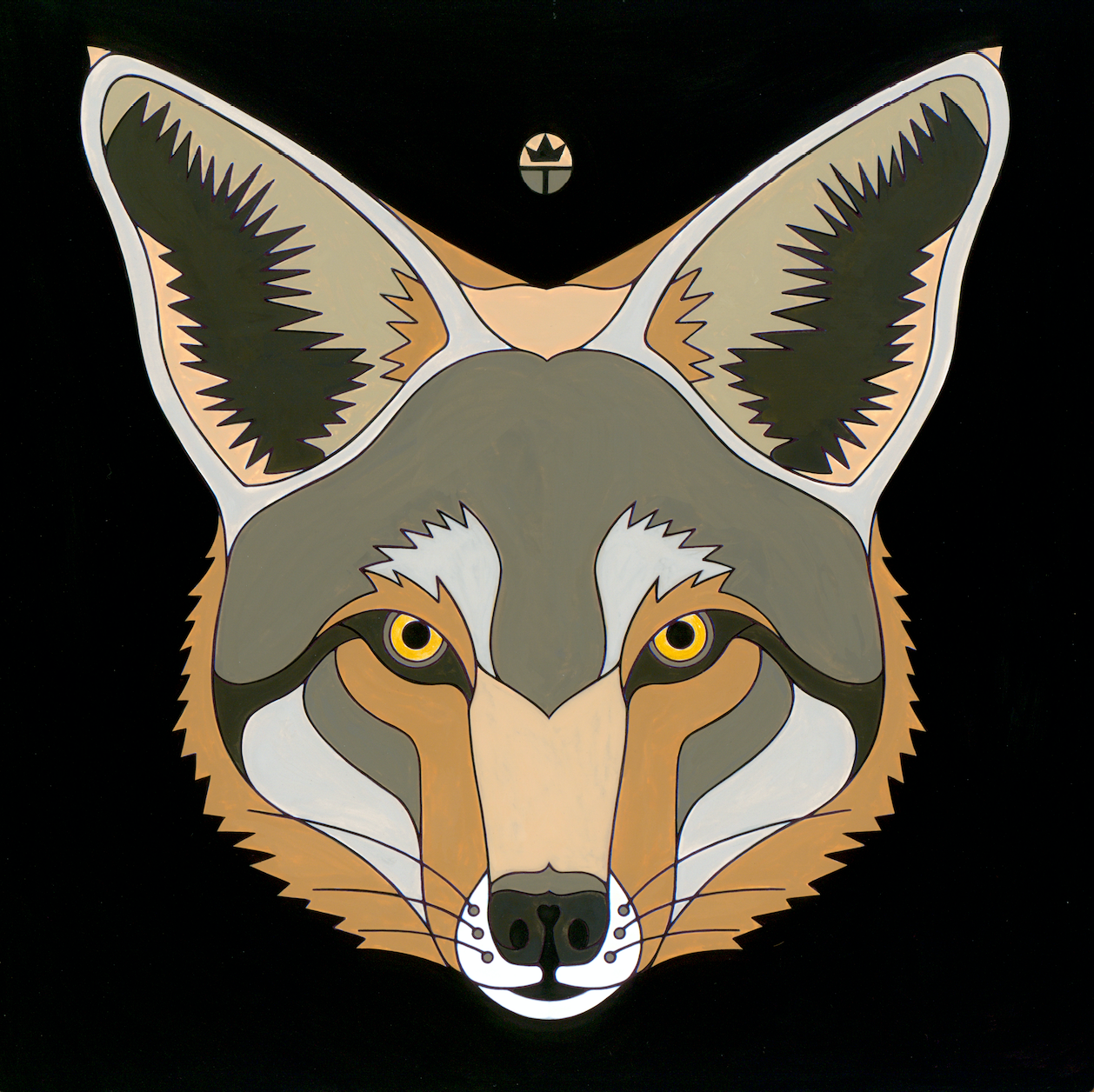 Coyote