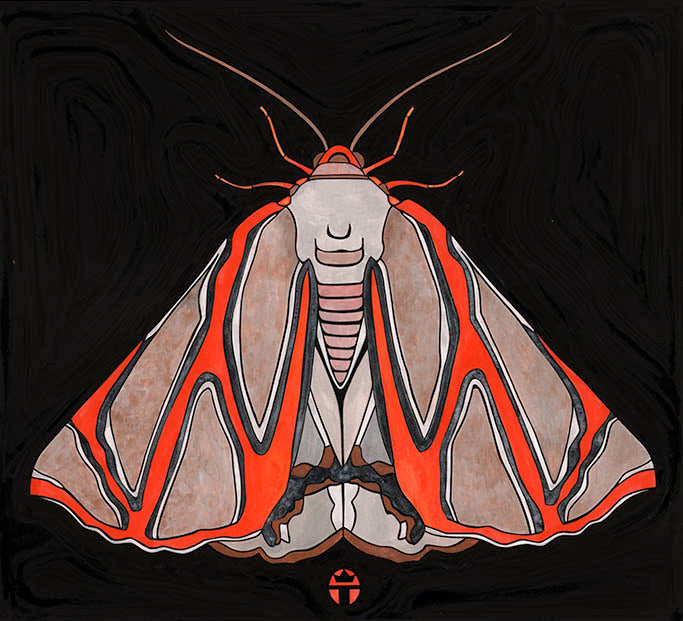 Beautiful Moth