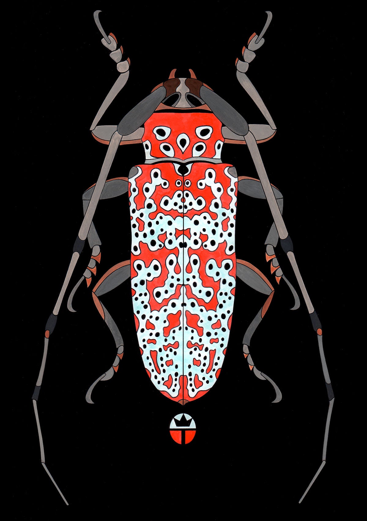 Beautyfull Beetle 3