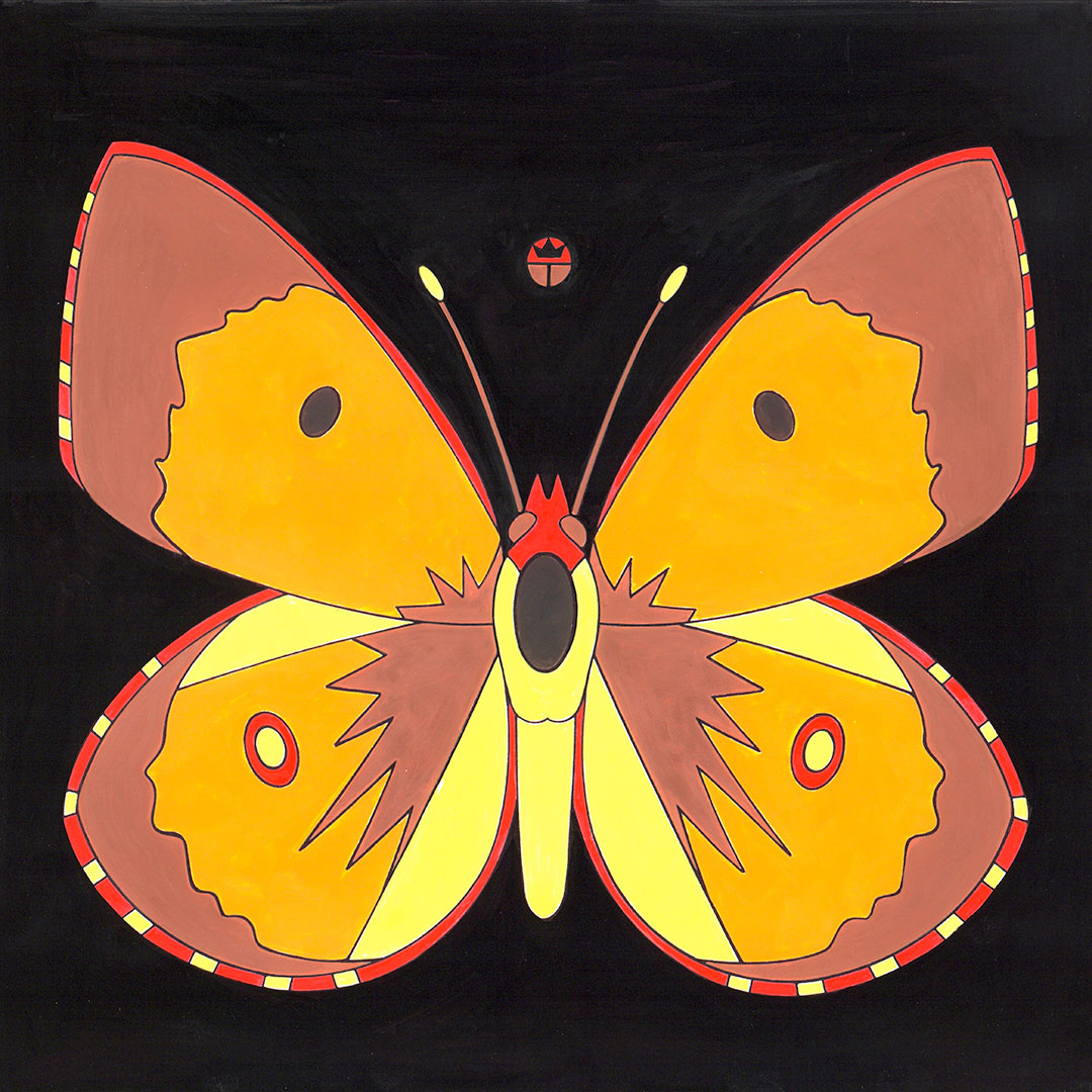 Clouded Butterfly