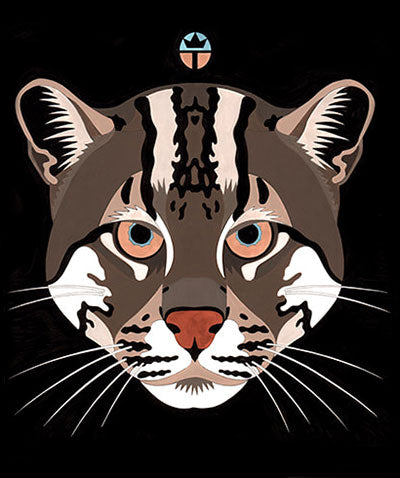 Fisher Cat