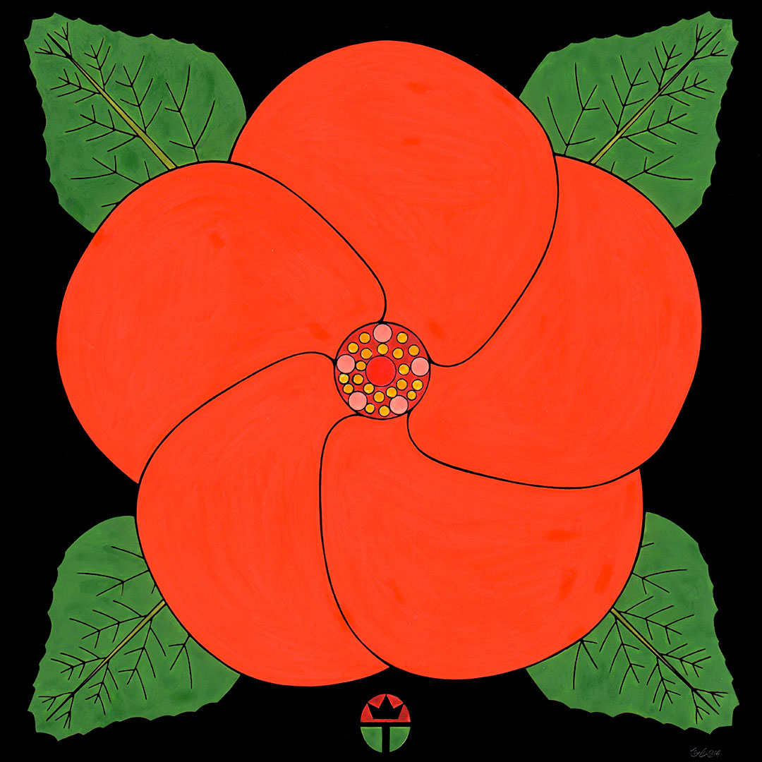 Hibiscus