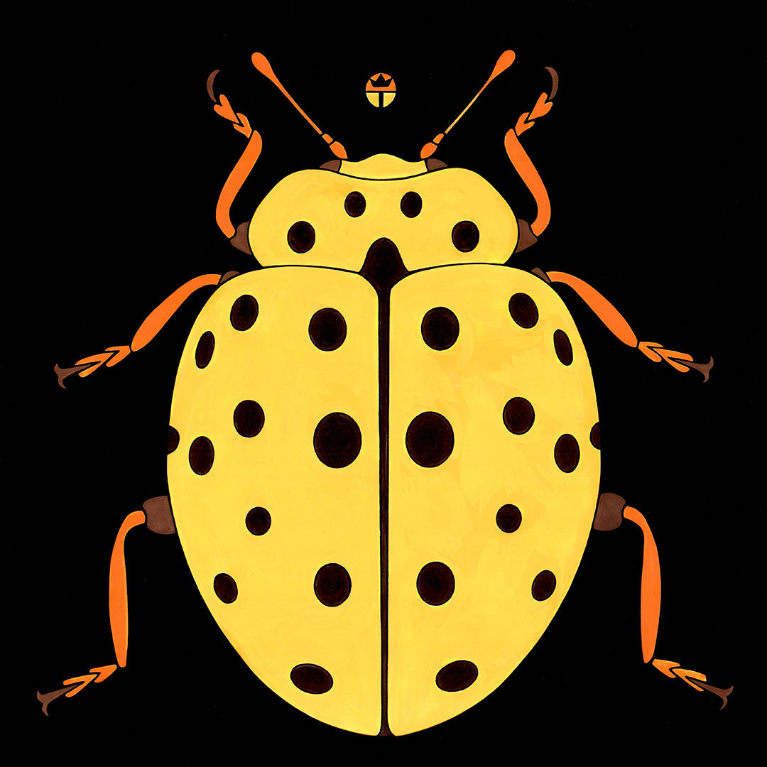 Ladybird Beetle