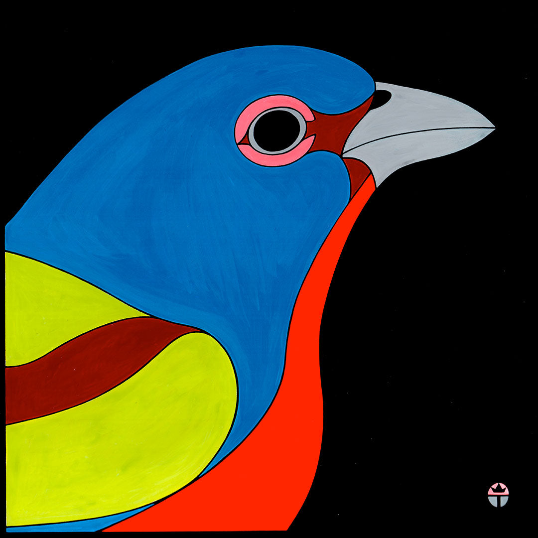 Colorful painting of a painted bunting bird on a black background by Tucson artist Wil Taylor