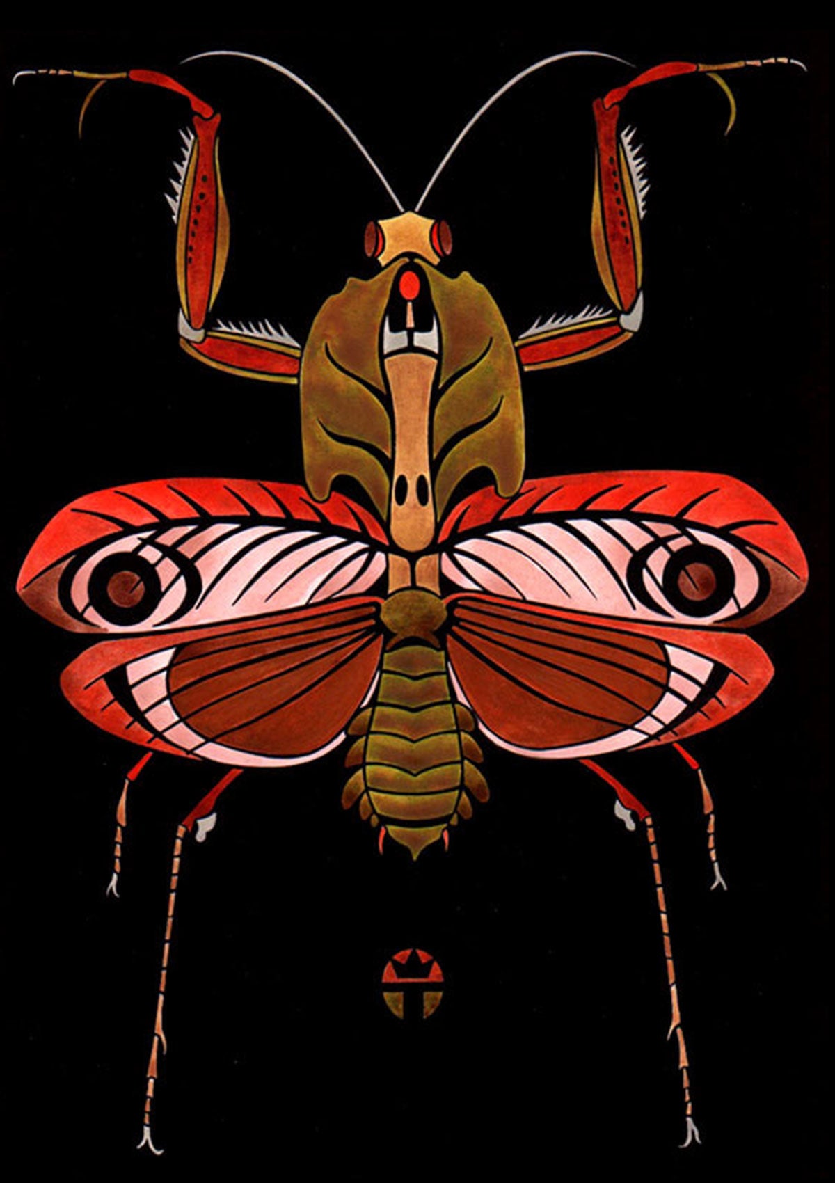 fine art print of praying mantis on black background by wil taylor