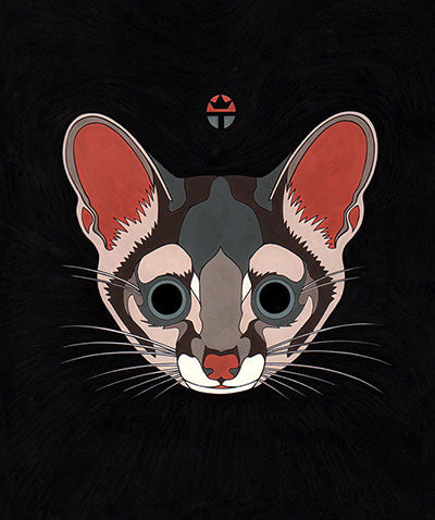 Ringtail Cat
