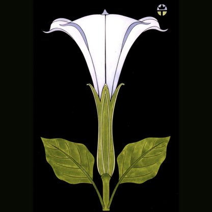 Sacred Datura