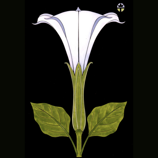 Sacred Datura