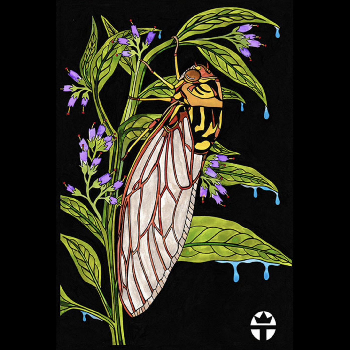 Cicada Comfrey
