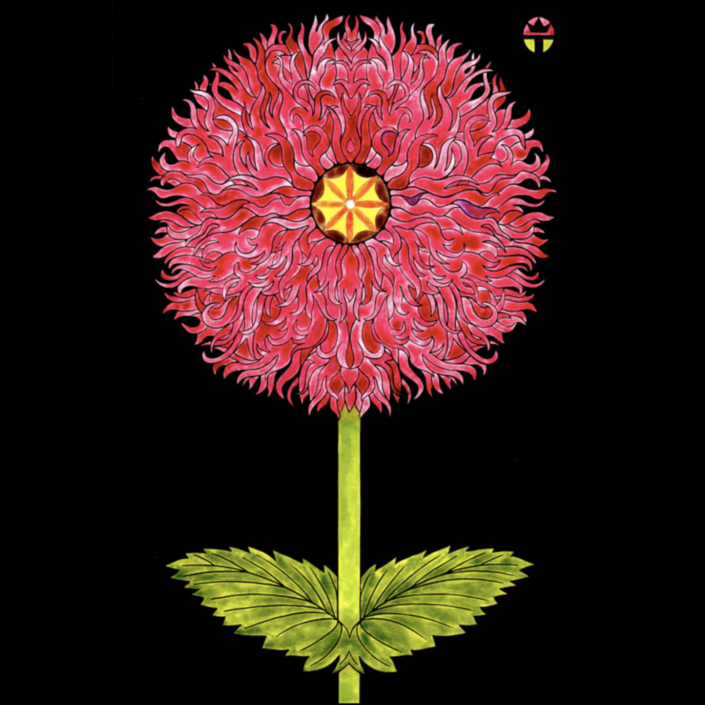 Hybrid Poppy