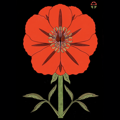 Poppy