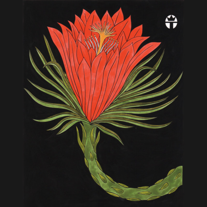 Cerius Blossom