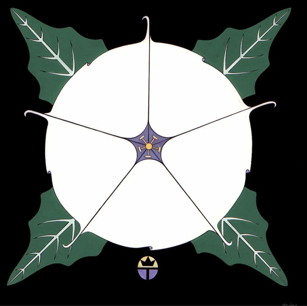 Sacred Datura