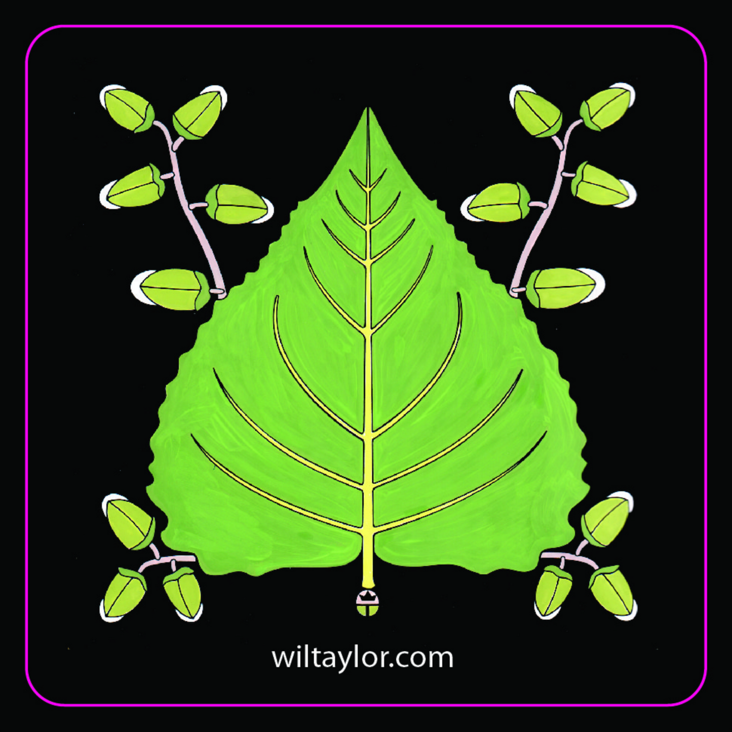 Cottonwood Leaf