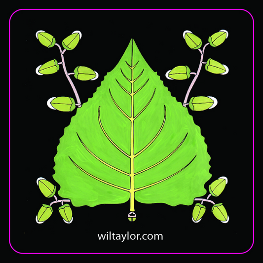Cottonwood Leaf