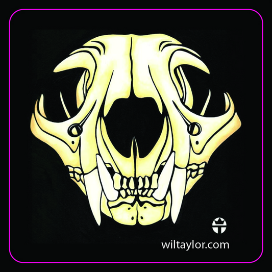 Bobcat Skull