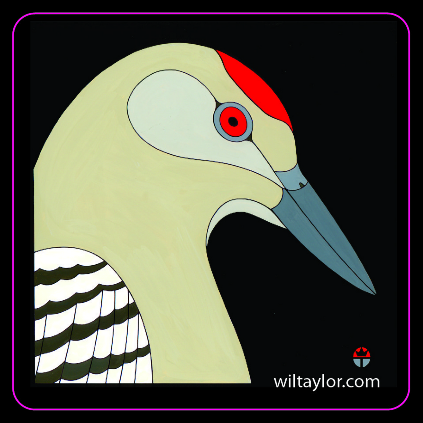 Gila Woodpecker