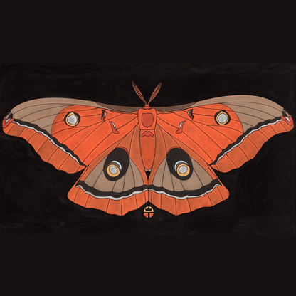 Antheraea