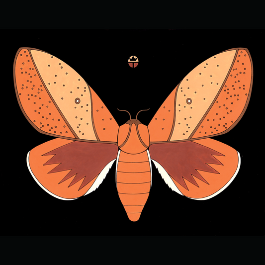 Sphingcampa