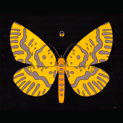 Xanthas Bracas