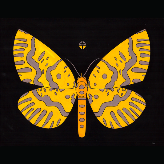 Xanthas Bracas