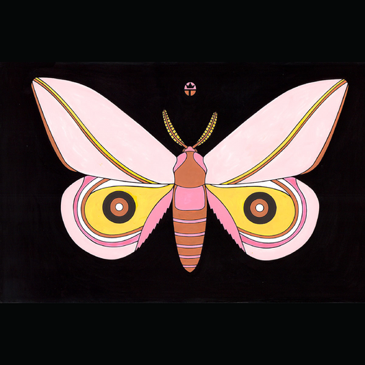 Pink Cecrops (Sold)