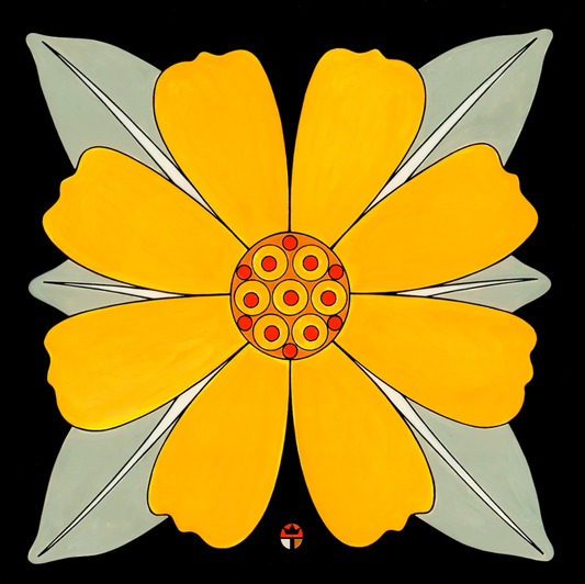 Brittle Bush