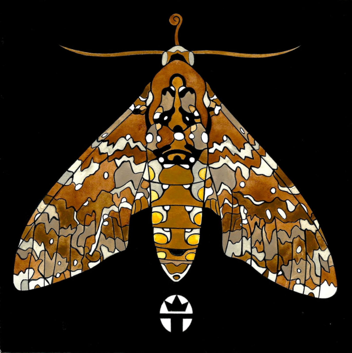 Hawk Moth