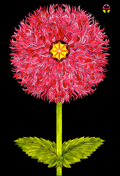 Hybrid Poppy
