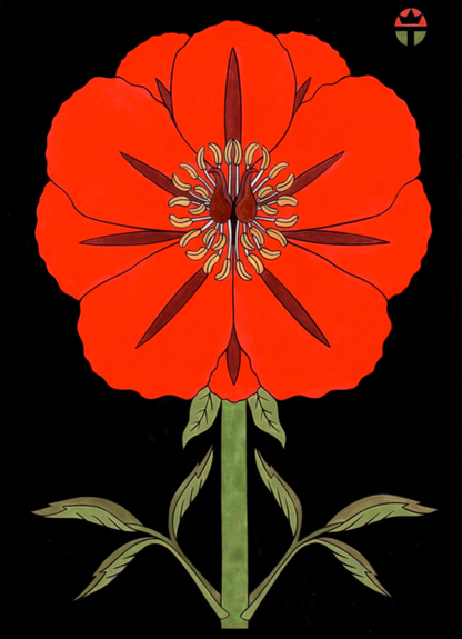 Poppy
