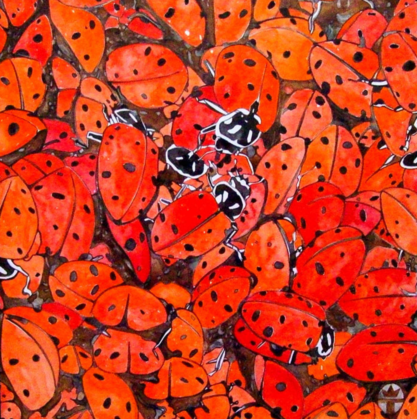 Lady Bug Mountain