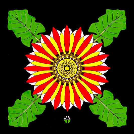 African Daisy