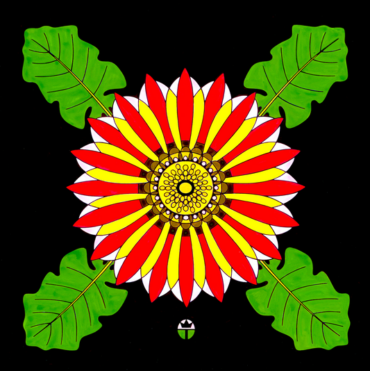 African Daisy
