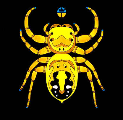 Apache Jumping Spider