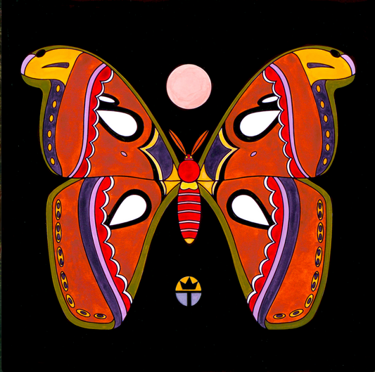 Atlas Moth