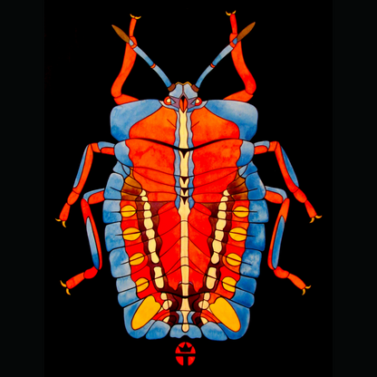 Beautyfull Bug