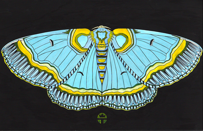 Blue Angel