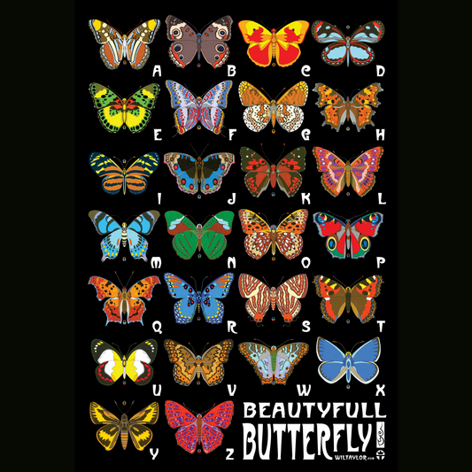 Beautyfull Butterfly Poster