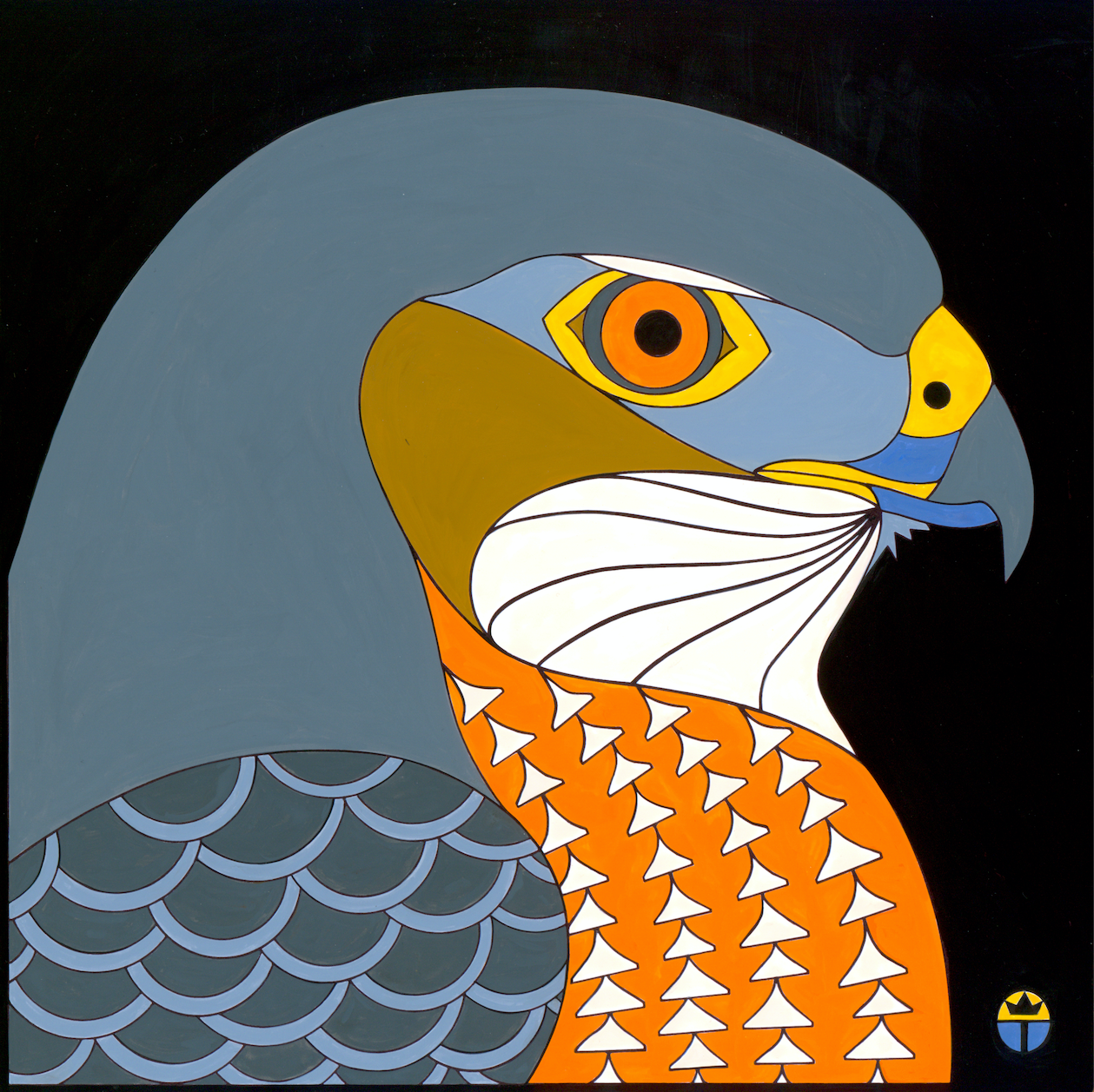 Coopers Hawk