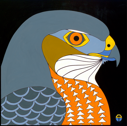Coopers Hawk