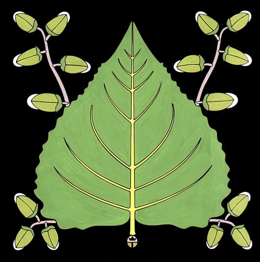 Cottonwood