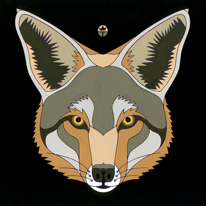 Coyote
