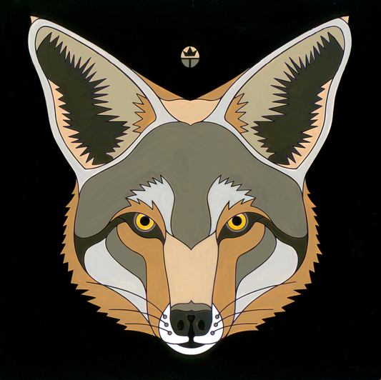Coyote