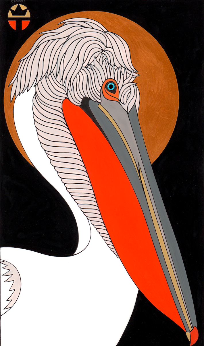 Dalmation Pelican