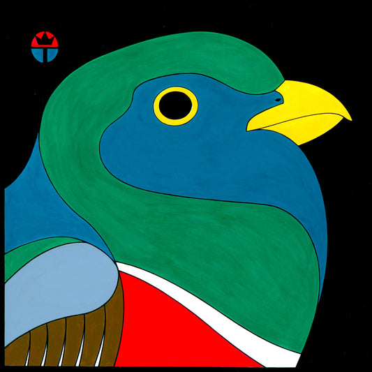 Elegant Trogon