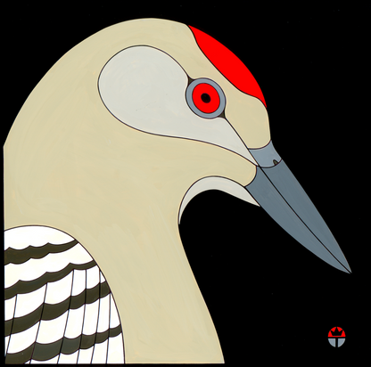 Gila Woodpecker
