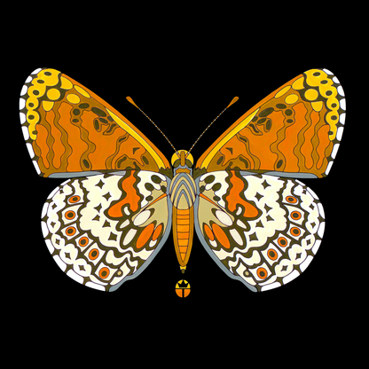 Glanville Fritillary